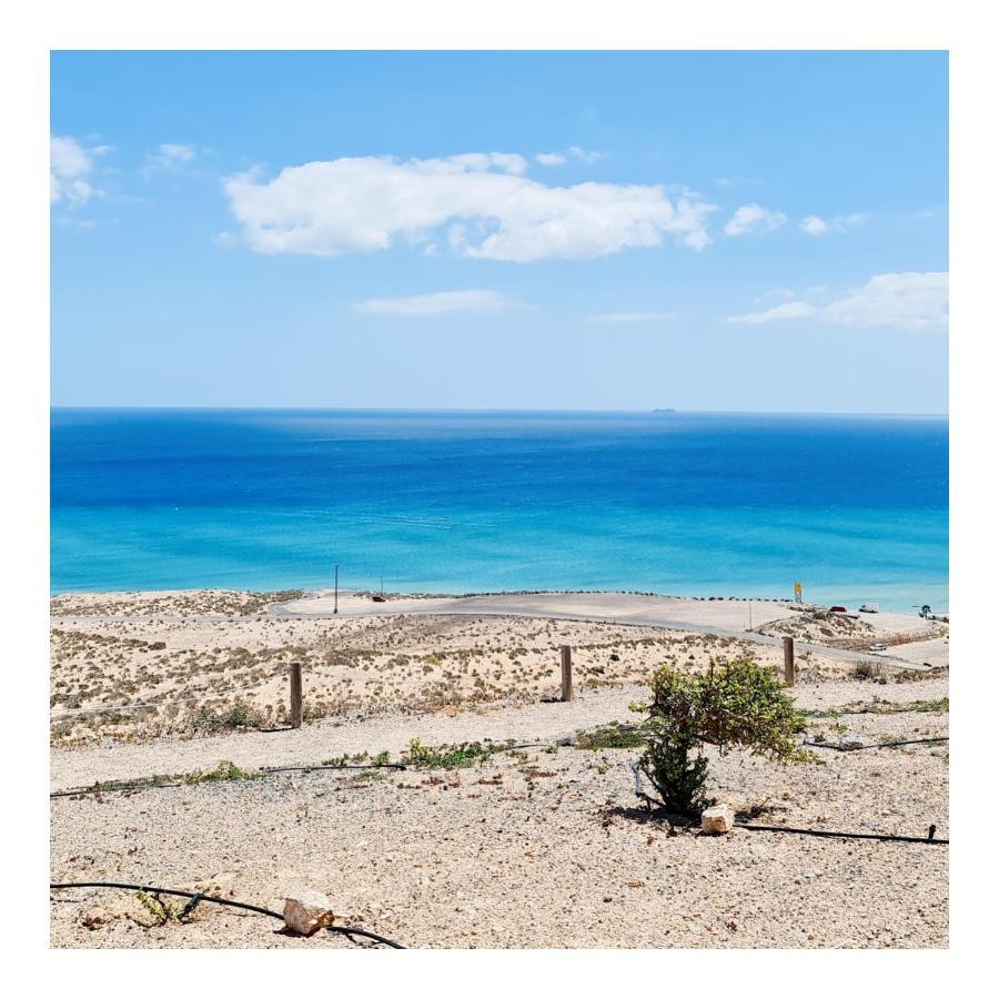 Your Ocean Blue Costa Calma Dış mekan fotoğraf
