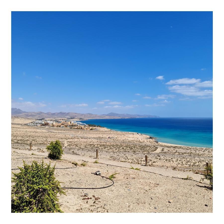 Your Ocean Blue Costa Calma Dış mekan fotoğraf